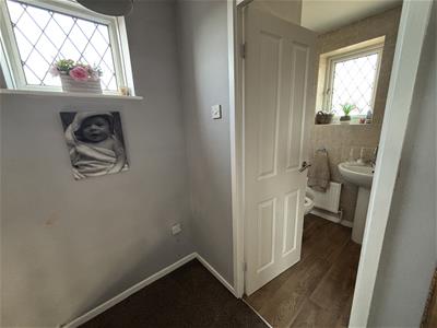 Picture 13